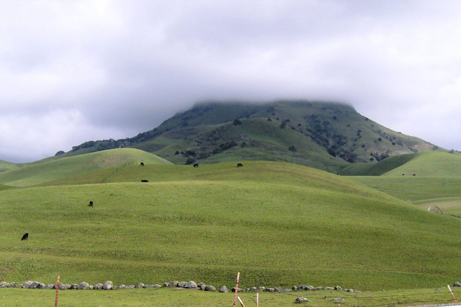 Green hills of the Sutter Buttes under low clouds