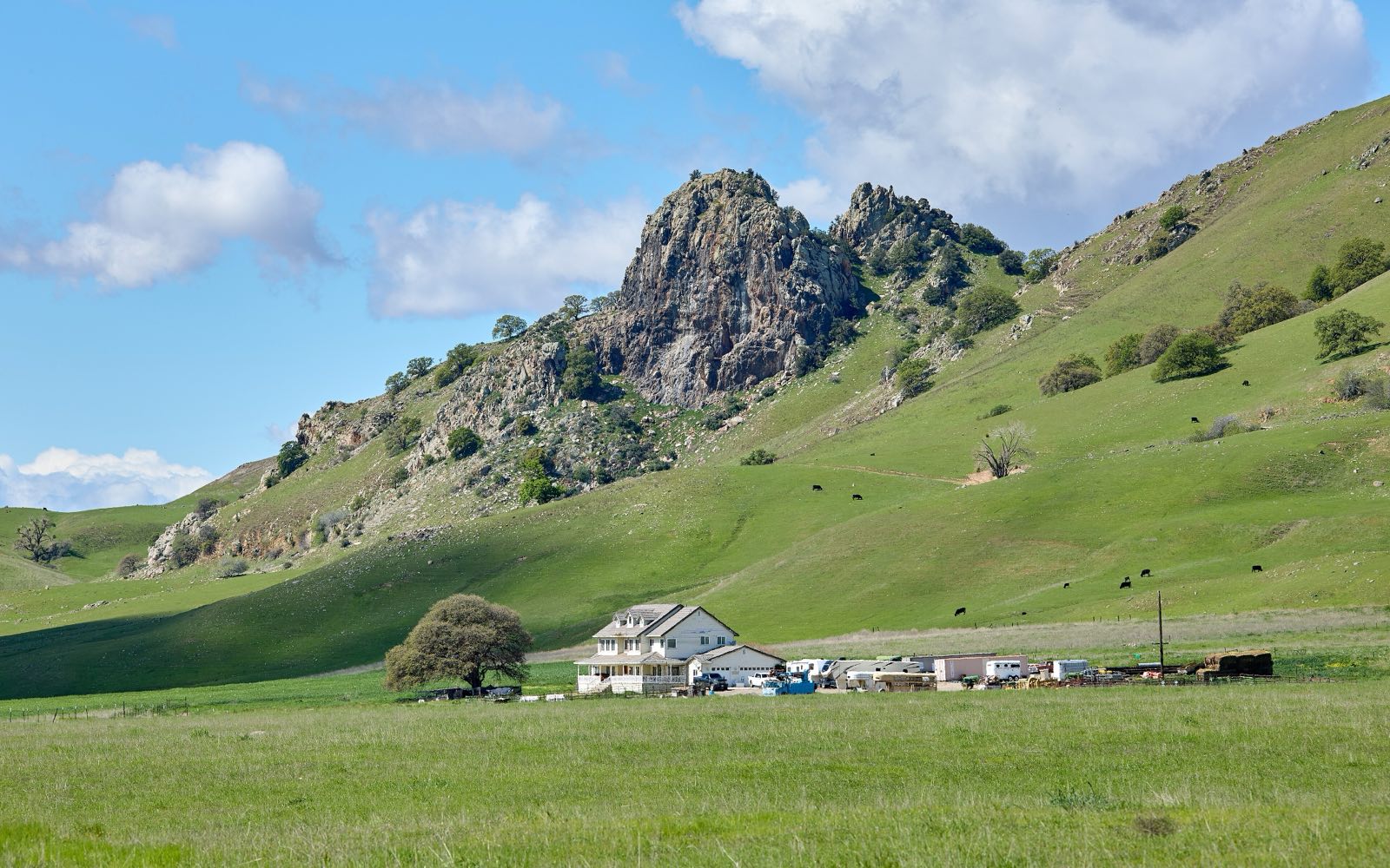 Cattle ranch at the base of the Sutter Buttes in Sutter County